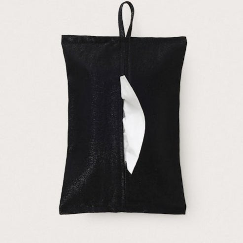 Wall-Mount Tissue Box or Face Towel Storage Bag